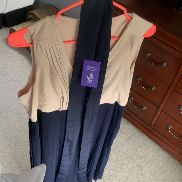 Seraphine Pleated Maternity/Nursing Dress - Picture 11 of 15